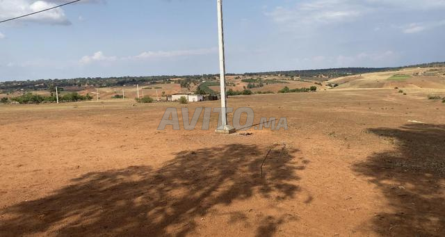 هكتاران محفضة 18كم من علال البحراوي 