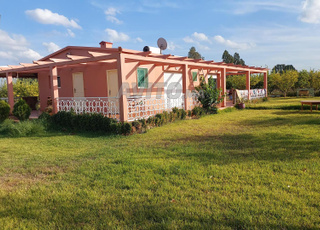 Ferme titre 45000m2 tiflet ait wahhi