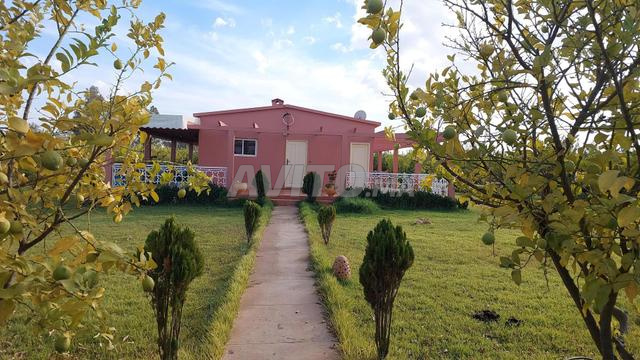 مزرعة موثقة 45000m2 تيفلت أيت واحي - 2