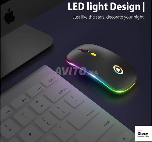 LED Souris sans fil rechargeable ordinateur RGB souris d
