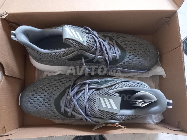 Adidas discount alphabounce gris