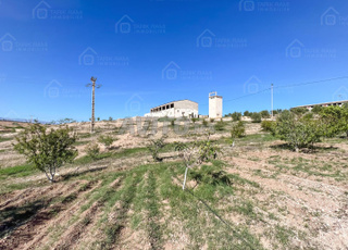 Terrain de 10ha à vendre à Nador 