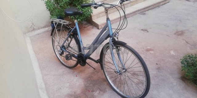 Joli velo discount