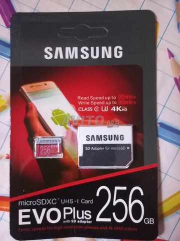 carte mémoire sd 256