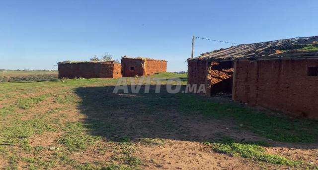 ارض فلاحية ممتازة فيها بئر ومنزل مخرب - 2