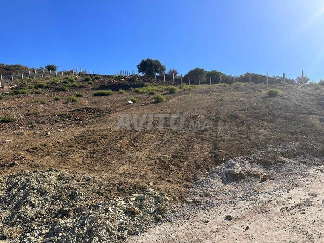 أراضٍ رائعة للبيع في سيدي كنكوش مطلة على البحر