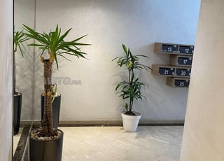 les appartement à louer tous les rue 