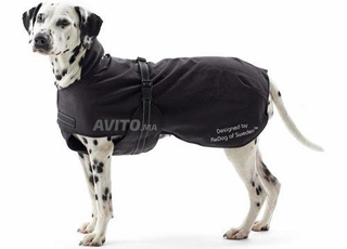 monteau impermeable pour chien 