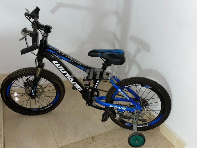 Wuyang mountain online bike