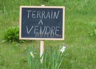 Terrain à vendre à Agadir(Hay el wifak zonne immo)