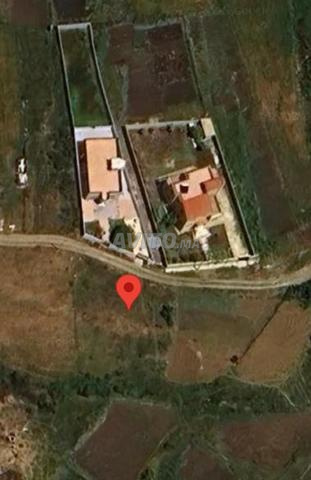 Terrain zone villa 824 m KANKOUCH Tanger à vendre - 2