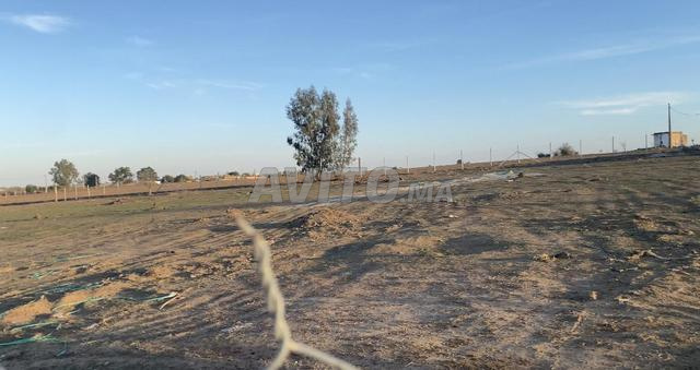 ارض فلاحية ممتازة فيها بئر ومسيجة  - 2