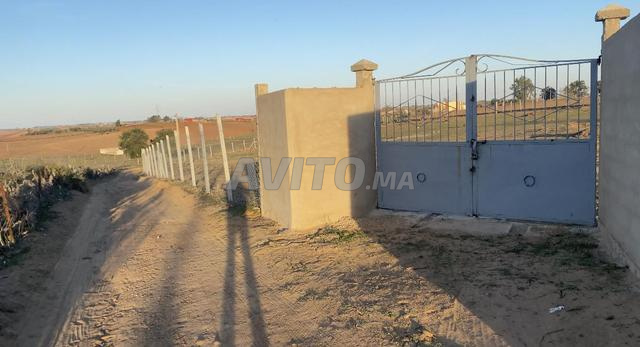 ارض فلاحية مربعة وبئر وسياج وباب حديدي