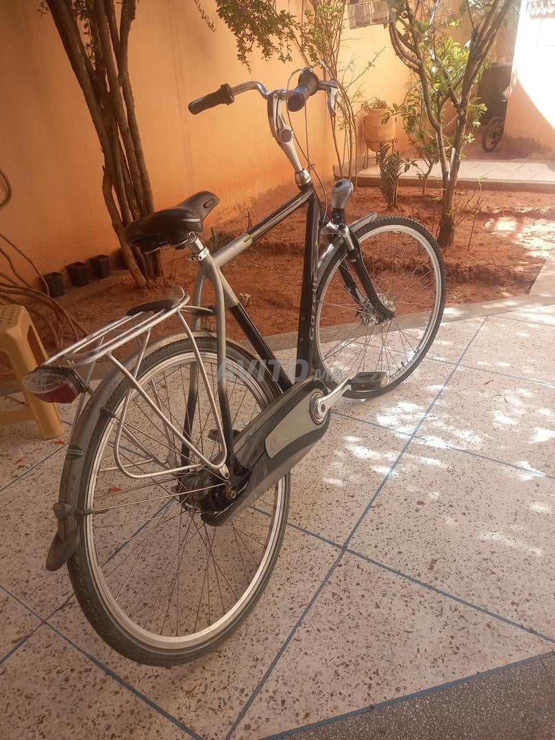 Vélo gazelle online homme