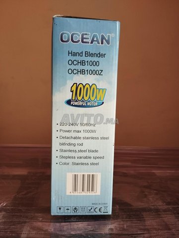 MIXEUR OCEAN PLONGEANT 1000W -43000f