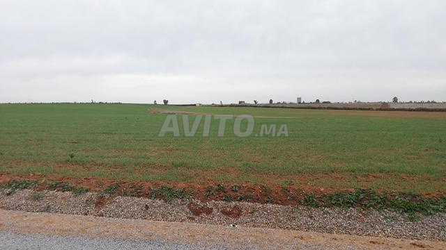 Ter titre 16ha sehoul salé