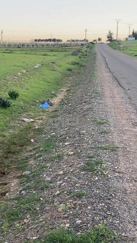 ارض 7000متر محفضة 13كم من البحراوي 