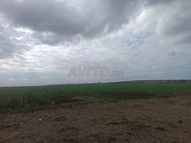 Terrain de 24 Hectares à Proximité du Grand Stade