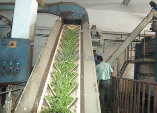 معصرة زيت الزيتون الحديثة  Disponible à taounat 