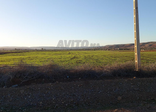 Ter titre 4h tiflet maaziz