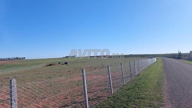 Ter titre 11000m2 khemisset ait yadine - 2