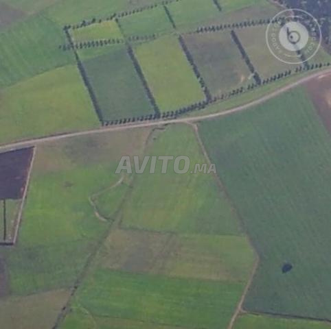 أرض مساحتها 3.3 هكتار محفظة وموجودة على حافة الطريق R411