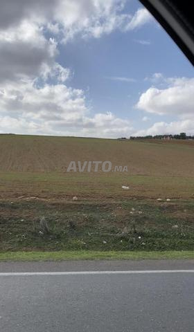 هكتار فلاحي على الطريق الوطنية 