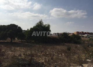 Terrain de 612m à Bir Jdid