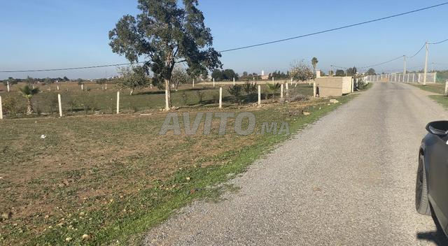 هكتار فلاحي على الشارع محفض