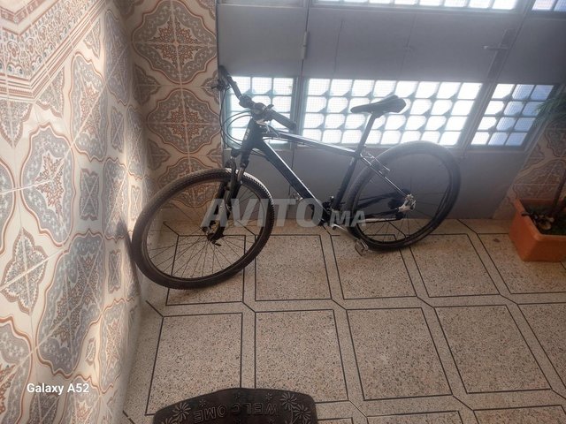 Velos a Tamorot a vendre Avito Page 223