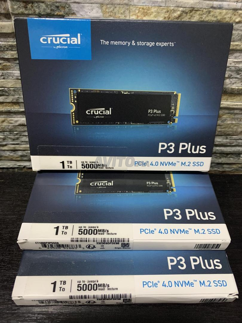 Crucial P3 Plus 1To M.2 PCIe Gen4 NVMe SSD interne - Jusqu'à 5000Mo/s -  CT1000P3PSSD8 : : Informatique