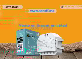 Sonoff Dual R3 relais wifi double