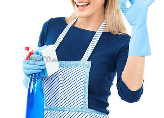  aides ménagères à domicile femme de ménage  