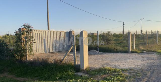 آرض محفضة على الشارع 13كم من البحراوي 