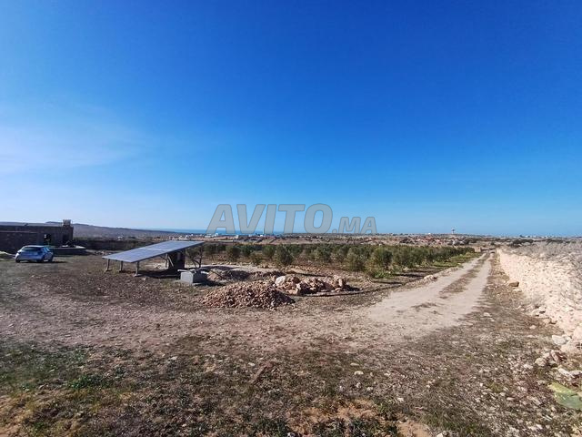 Une férme à vendre 7000 metr