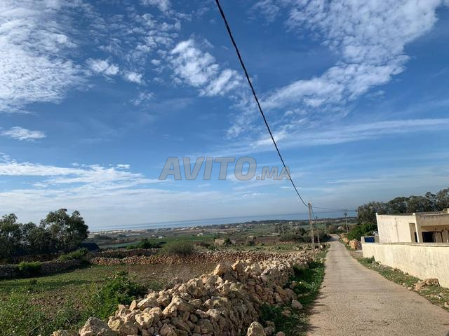 عشاق الهوتة إبتداءا من 150درهم للمتر - 2