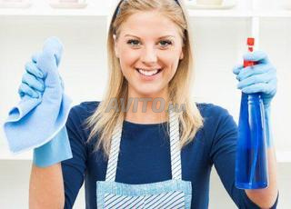 Agence (femme ménage nounou garde malade cuisine)