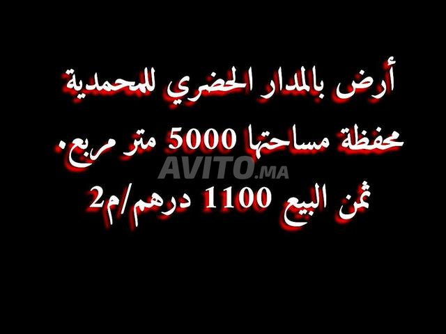 TERRAIN DE 5000M2 EN VENTE ZONE URB  A MOHAMADIA