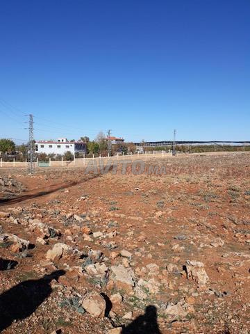 Ferme à Vendre à Ifrane ( Route N8) - 2