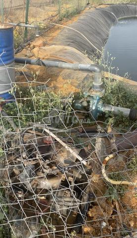 هكتار محفض اشجار افوكادووسط الجيران - 2