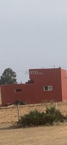 هكتاران محفضة ومنزل صغير 16كن البحراوي  - 2