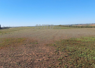 Ter 6ha titre Ain johra tiflet