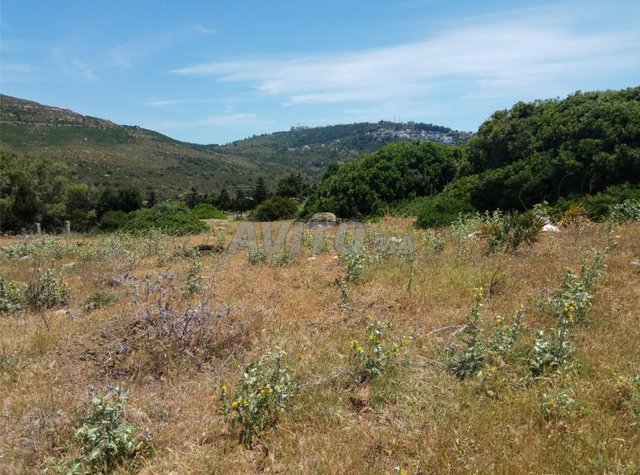 Terrain titré de 1000 m carré