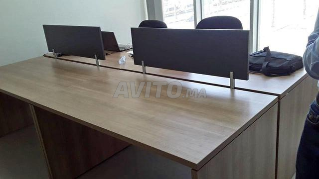 Des marguerites en meilleur qualité et prix