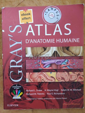GRAY'S ATLAS D'ANATOMIE HUMAINE