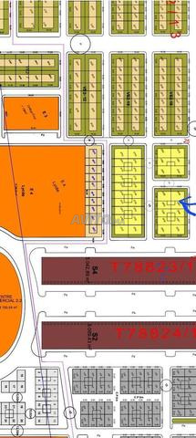 بقعة حمام شوكة في اليونس مهدية 2