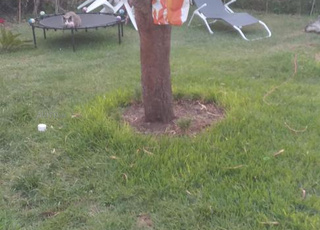 maison  à dar bouazza 