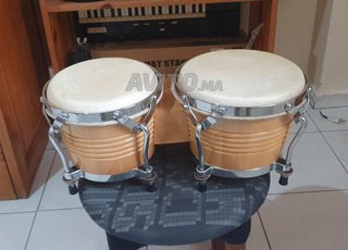Bongos latino professionnel