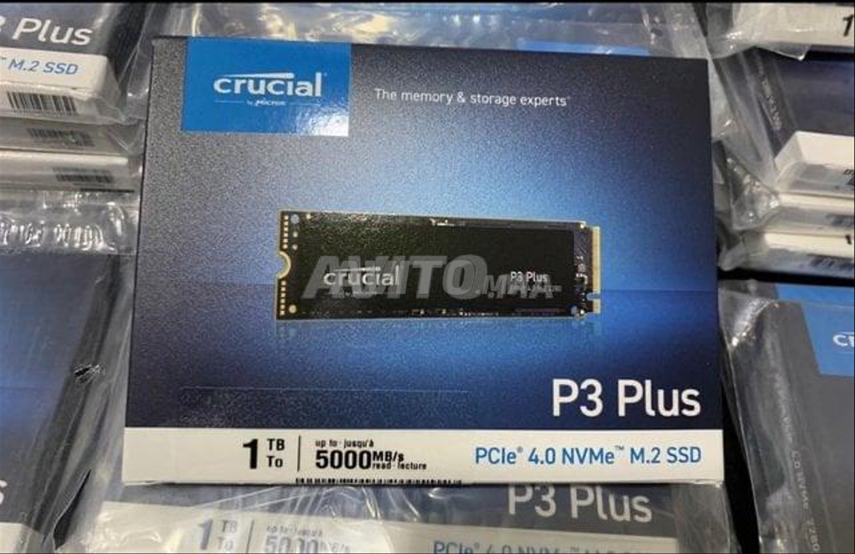 Crucial P3 Plus 1 To disque dur ssd