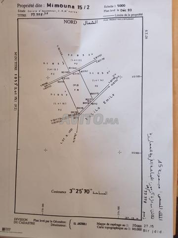 TERRAIN DE 3 HA 2570 M2 À BIR JDID 